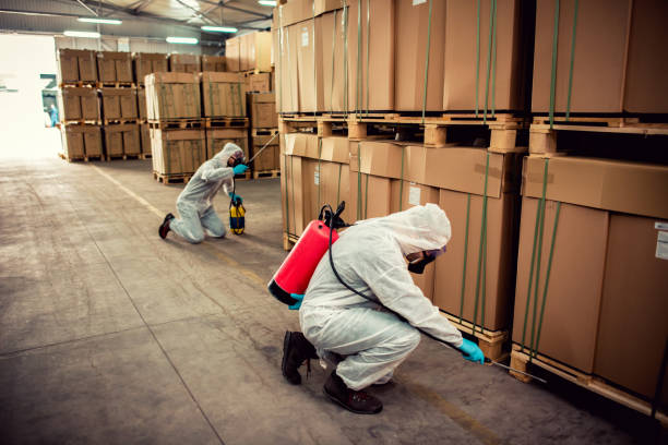 Best Bed Bug Extermination  in Freeland, WA