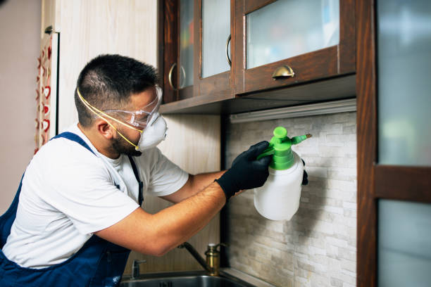Best Commercial Pest Control Services  in Freeland, WA