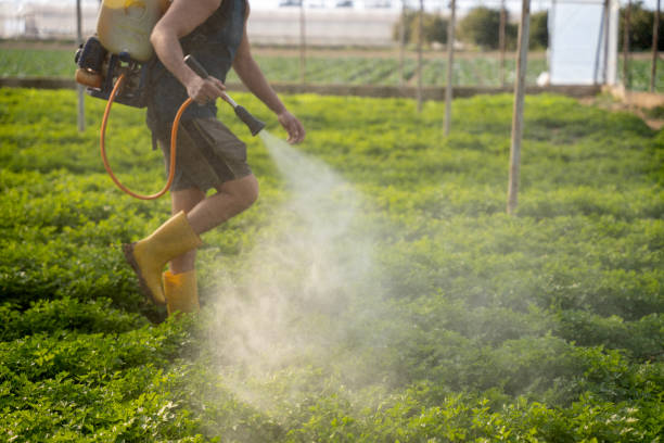 Best Pest Removal Services  in Freeland, WA