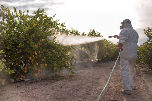 Pest Control for Restaurants in Freeland, WA