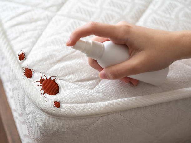 Best Pest Control Near Me  in Freeland, WA