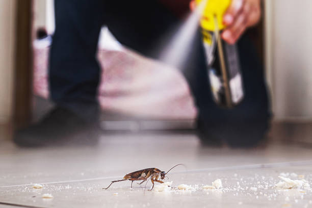 Best Affordable Pest Control Services  in Freeland, WA