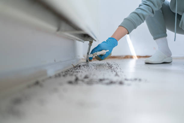 Best Affordable Exterminators  in Freeland, WA