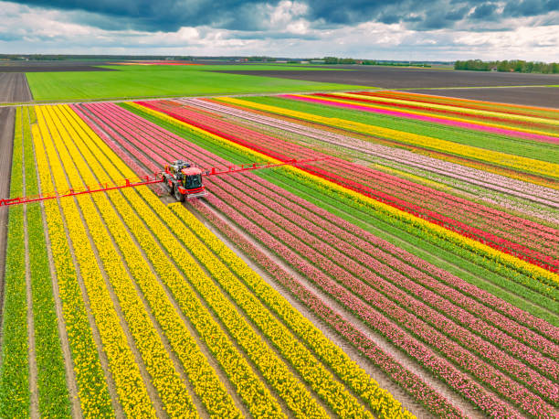 Reliable Freeland, WA Pest Control Solutions