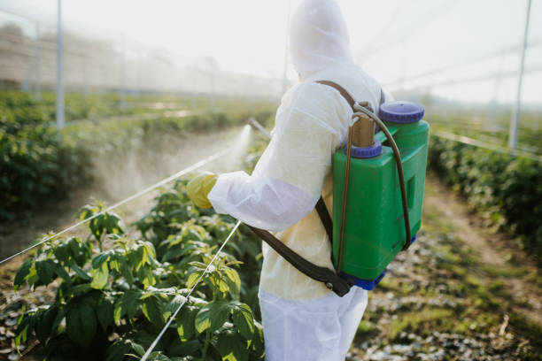 Best Best Pest Control Companies  in Freeland, WA